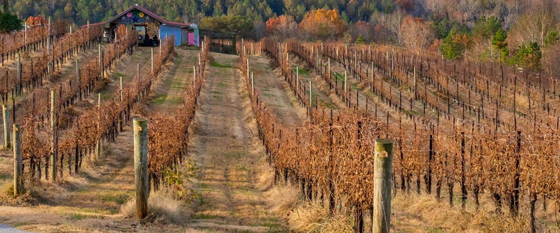 Are vineyards year round?