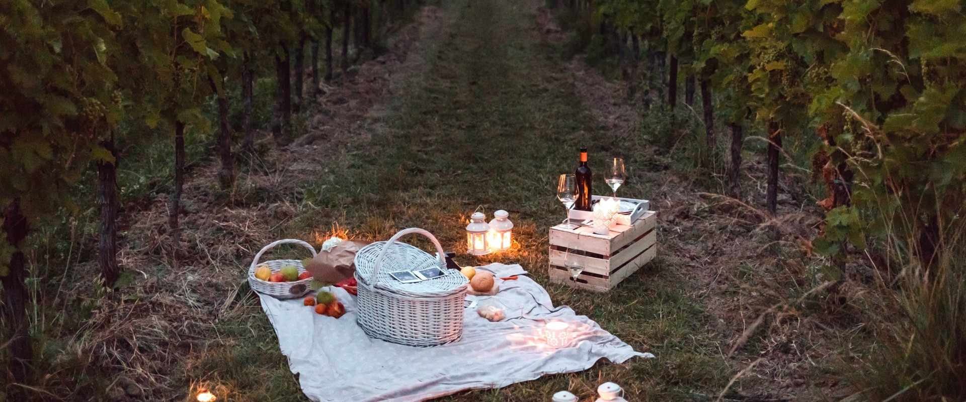 How do traveling vineyards make money?