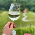 A Taste of the Land: Why Vineyard Tours Are More Than Just Wine