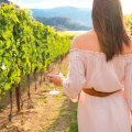 What to do at vineyards?