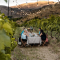Why Vineyard Tours Are the Perfect Blend of Scenery, Flavor, and Culture
