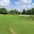 From Vines To Fairways: Pairing Vineyard Tours With Public Golf Courses In Orlando, FL