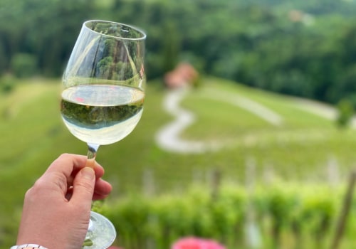 A Taste of the Land: Why Vineyard Tours Are More Than Just Wine