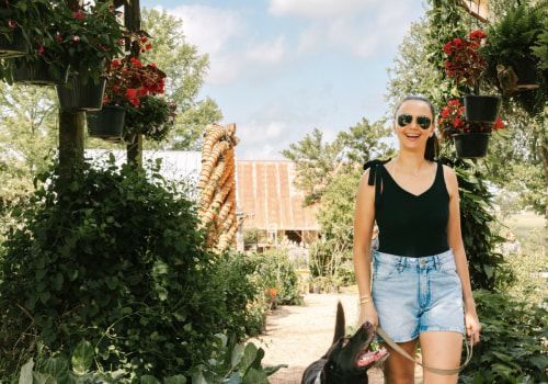 Fix It Before You Sip It: Austin Front Window Repair For Stress-Free Vineyard Adventures