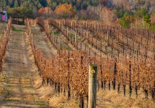 Are vineyards year round?