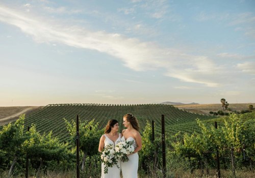 Top Benefits Of Booking Vineyard Tours Through A Destination Wedding Travel Agent