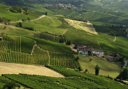 When can you see vineyards in italy?