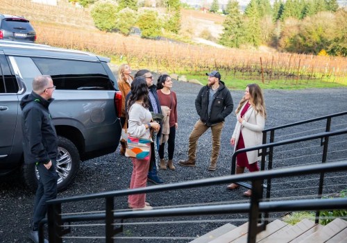 How to Enjoy Vineyard Tours Without the Stress of Driving