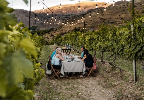 Why Vineyard Tours Are the Perfect Blend of Scenery, Flavor, and Culture