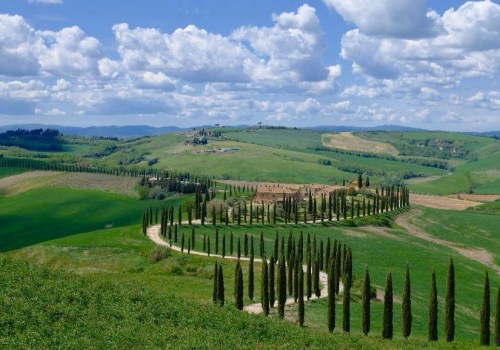 Vineyard Tours and the Joy of Exploring Wine Country at Your Own Pace