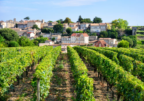 Savor the Experience: Why Vineyard Tours Are the Perfect Getaway