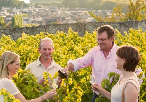 The Benefits of Booking Guided Vineyard Tours for a Richer Experience