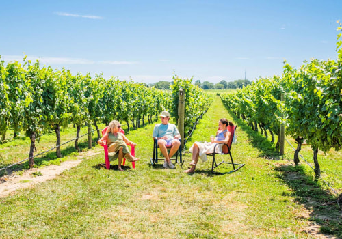 Seasonal Vineyard Tours: The Best Times of Year to Visit