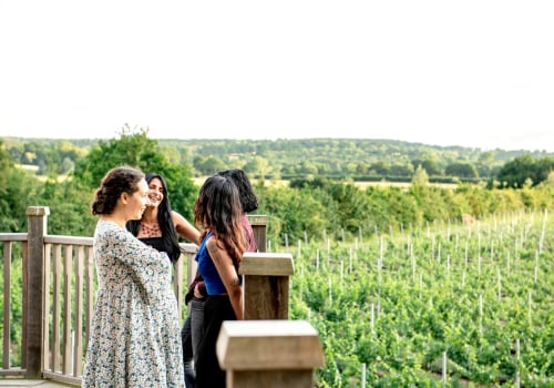 Hosting Special Celebrations Around Vineyard Tours