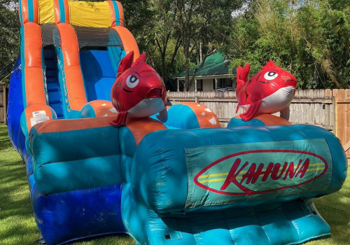 Creating Memorable Vineyard Tours With Bounce House Rental Additions