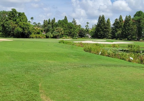 From Vines To Fairways: Pairing Vineyard Tours With Public Golf Courses In Orlando, FL